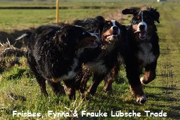 Frisbee, Fynna & Frauke Lbsche Trade