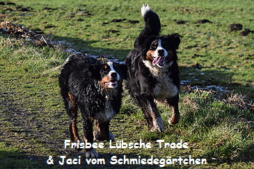 Fynna Lbsche Trade & Jaci vom Schmiedegrtchen