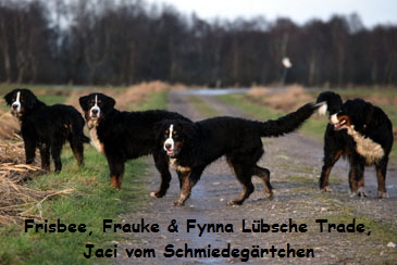 Frisbee, Frauke & Fynna Lbsche Trade,