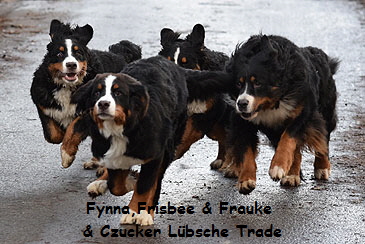 Fynna,Frisbee & Frauke & Czucker Lbsche Trade