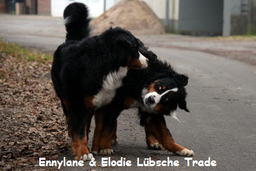 Ennylane & Elodie Lbsche Trade
