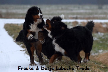 Frauke & Detje Lbsche Trade