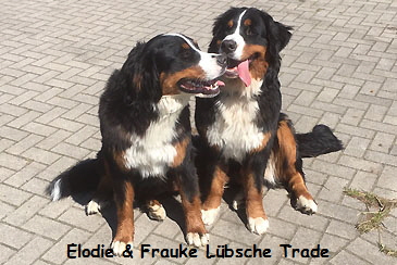 Elodie & Frauke Lbsche Trade