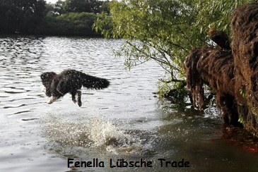 Fenella Lbsche Trade