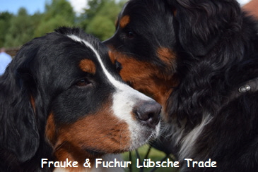 Frauke & Fuchur Lbsche Trade