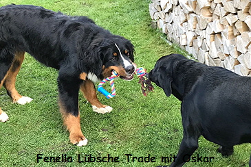 Fenella Lbsche Trade mit Oskar
