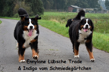 Ennylane Lbsche Trade & Indigo vom Schmiedegrtchen