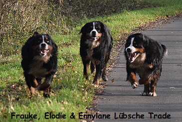 Frauke, Elodie & Ennylane Lbsche Trade