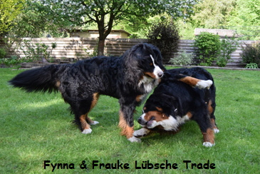 Fynna & Frauke Lbsche Trade