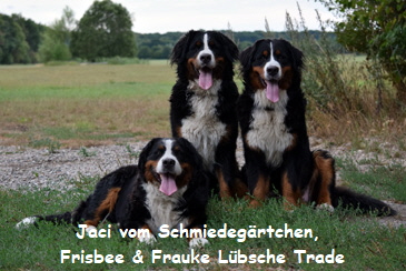 Jaci vom Schmiedegrtchen, Frisbee & Frauke Lbsche Trade
