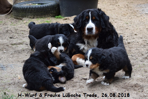 H-Wurf & Frauke Lbsche Trade, 26.08.2018