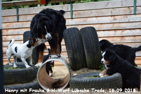 Henry mit Frauke & H-Wurf Lbsche Trade, 16.09.2018