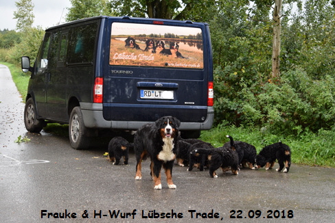 Frauke & H-Wurf Lbsche Trade, 22.09.2018