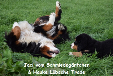 Jaci vom Schmiedegrtchen & Hauke Lbsche Trade