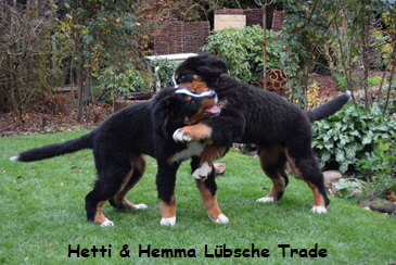 Hetti & Hemma Lbsche Trade