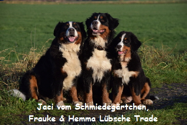 Jaci vom Schmiedegrtchen, Frauke & Hemma Lbsche Trade