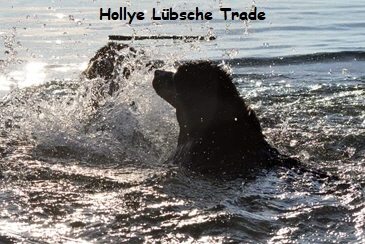 Hollye Lbsche Trade