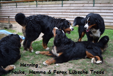 Henning, Frauke, Hemma & Ferox Lbsche Trade