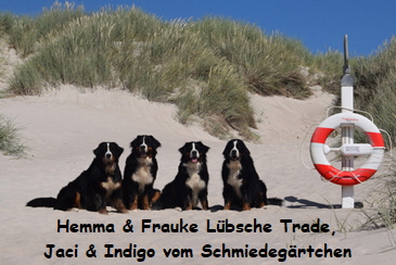 Hemma & Frauke Lbsche Trade, Jaci & Indigo vom Schmiedegrtchen