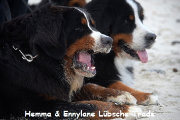 Hemma & Ennylane Lbsche Trade