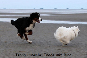 Isara Lbsche Trade mit Dina