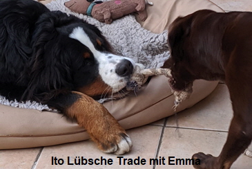 Ito Lbsche Trade mit Emma