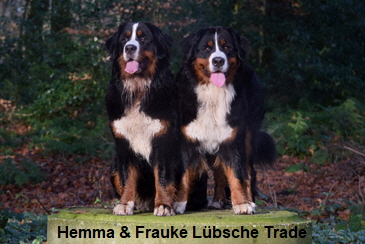 Hemma & Frauke Lbsche Trade