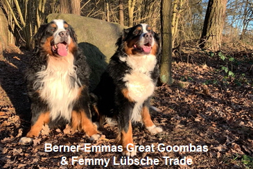 Berner-Emmas Great Goombas & Femmy Lbsche Trade