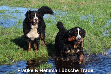 Frauke & Hemma Lbsche Trade