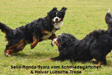 Sella-Ronda-Syara vom Schmiedegrtchen & Halvar Lbsche Trade