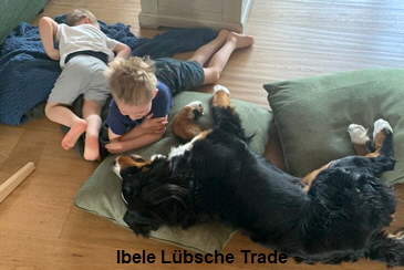 Ibele Lbsche Trade