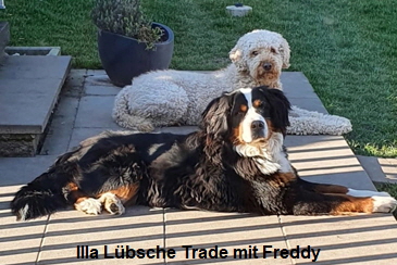 Illa Lbsche Trade mit Freddy