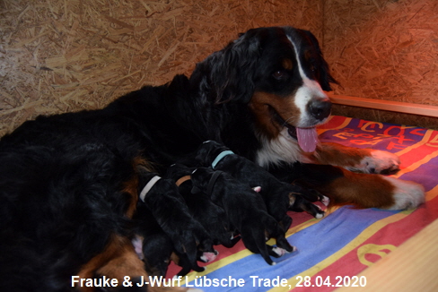 Frauke & J-Wurf Lbsche Trade, 28.04.2020