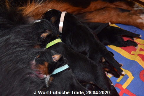 J-Wurf Lbsche Trade, 28.04.2020