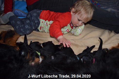J-Wurf Lbsche Trade, 29.04.2020