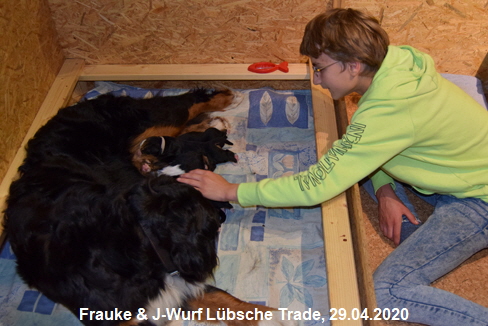Frauke & J-Wurf Lbsche Trade, 29.04.2020
