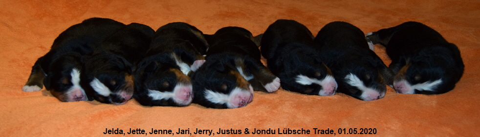 Jelda, Jette, Jenne, Jari, Jerry, Justus & Jondu Lbsche Trade, 01.05.2020