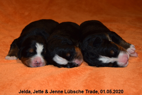 Jelda, Jette & Jenne Lbsche Trade, 01.05.2020