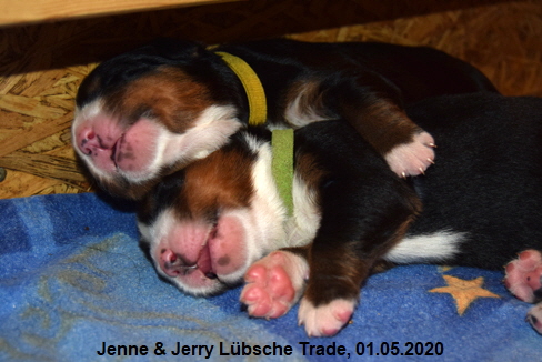 Jenne & Jerry Lbsche Trade, 01.05.2020
