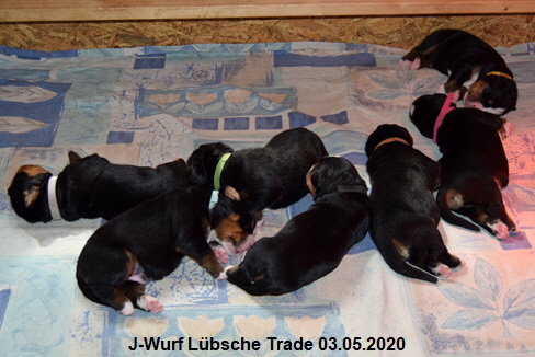 J-Wurf Lbsche Trade 03.05.2020