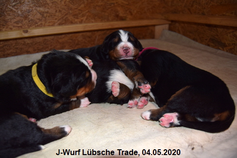 J-Wurf Lbsche Trade, 04.05.2020