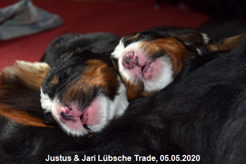 Justus & Jari Lbsche Trade, 05.05.2020
