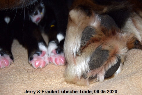 Jerry & Frauke Lbsche Trade, 06.05.2020