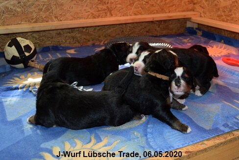 J-Wurf Lbsche Trade, 06.05.2020