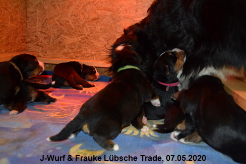 J-Wurf & Frauke Lbsche Trade, 07.05.2020