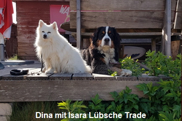 Dina mit Isara Lbsche Trade