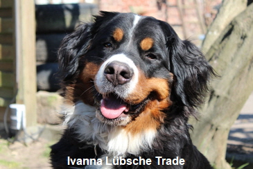 Ivanna Lbsche Trade