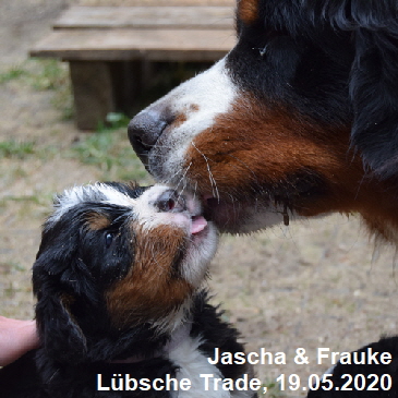 Jascha & Frauke Lbsche Trade, 19.05.2020