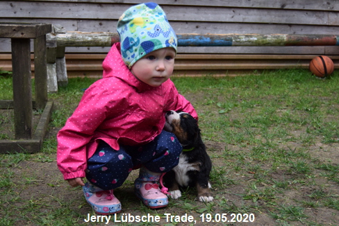 Jerry Lbsche Trade, 19.05.2020