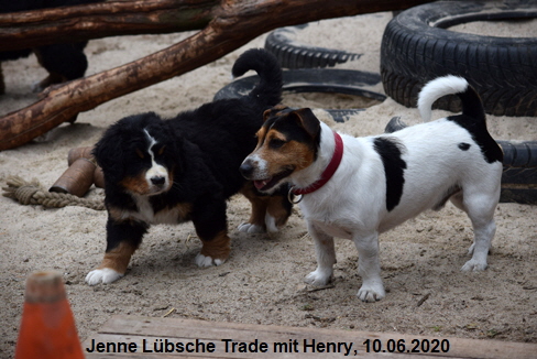 Jenne Lbsche Trade mit Henry, 10.06.2020